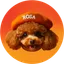 Coin logo